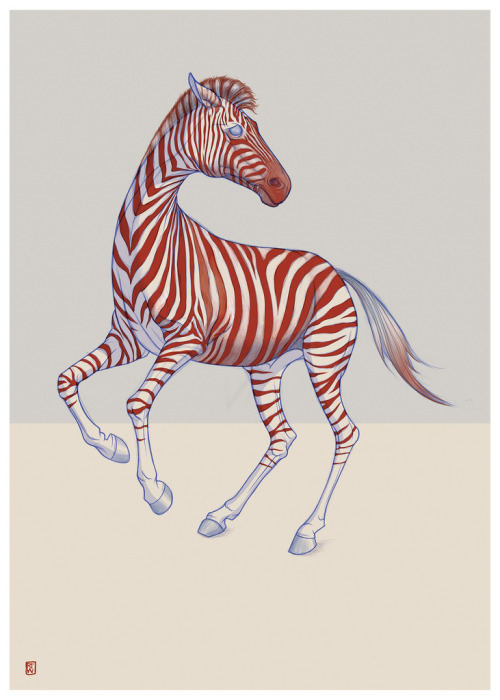 fer1972:  Safari by Richard Wilkinson