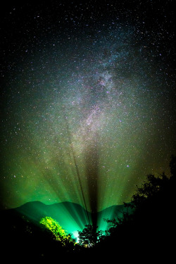 brutalgeneration:  Welcome to Earth (by Lysuna) 
