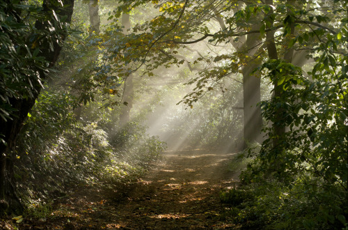 glawarhal:Early autumn by bingleyman2 on Flickr.