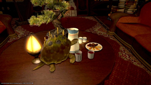 mokograss:turtle tea