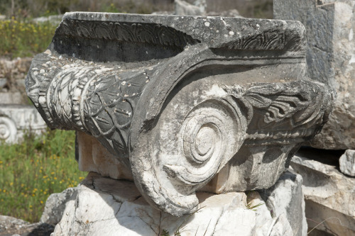 classicalmonuments:Temple of Aphrodite Aphrodisias, Asia minor (Turkey)1st century CEThe sanctuary o