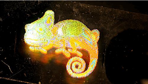 npr:  kqedscience:    Chameleons don’t change color to match their environment;