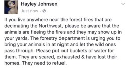 grimthetransman: weavemama:  THIS IS IMPORTANT ‼️‼️‼️  USE FILTERED WATER IF YOU CAN, TAP WATER CAN KILL SOME ANIMALS, IF ITS ALL YOU HAVE THATS FINE, BUT IF YOU HAVE AN OPTION USE FILTERED!!! 