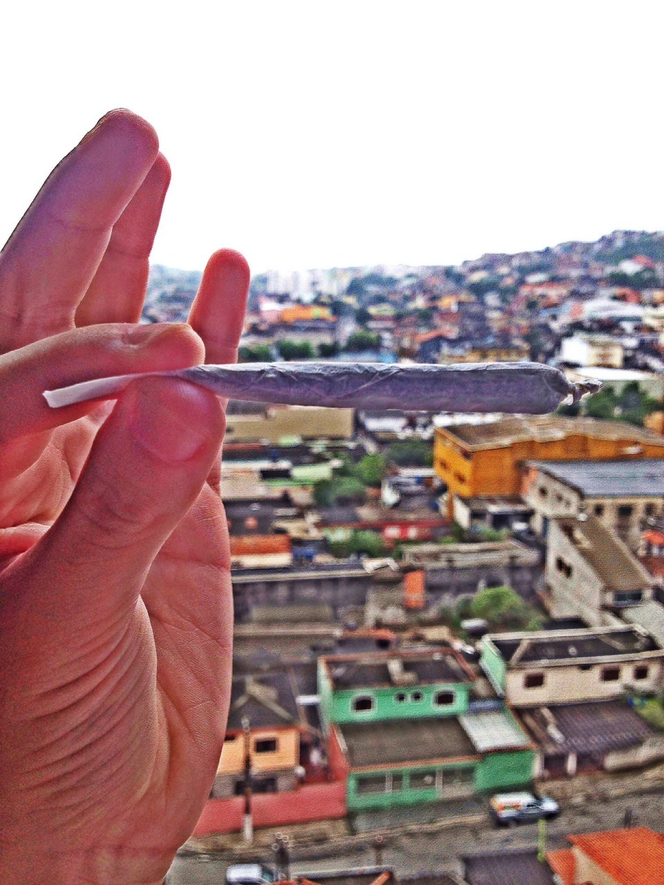 weed4trip: