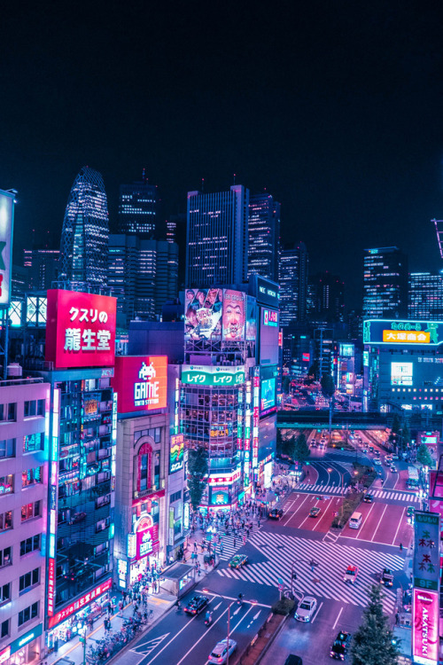 ysociety: rooftops in shinjuku.