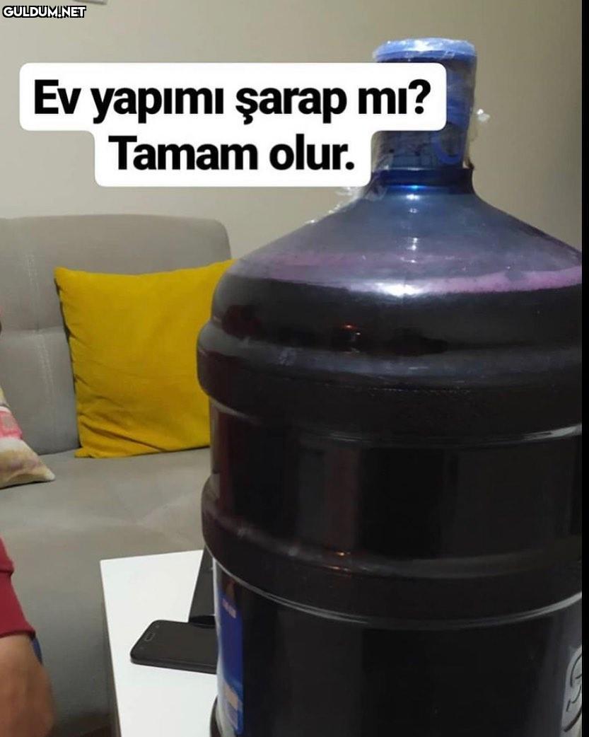 Ev yapimi şarap mi? Tamam olur.