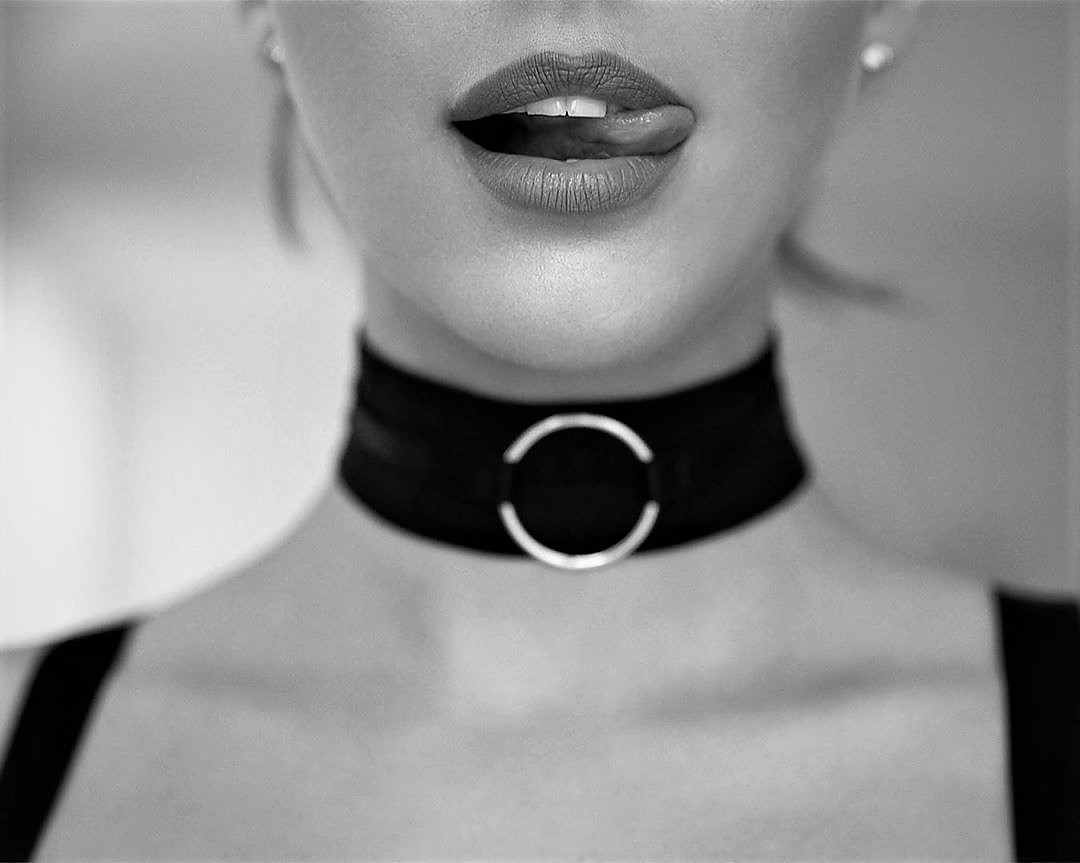 artamidae:bluelady329:♥️