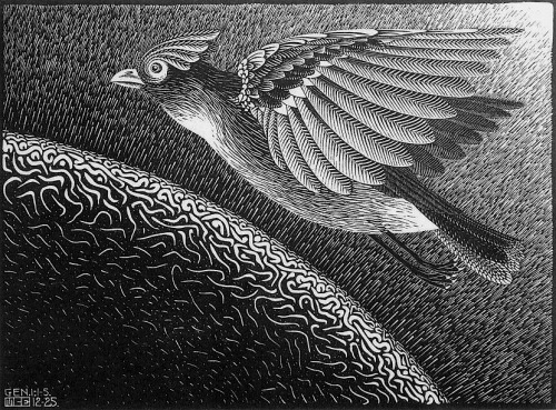 magictransistor:  M. C. Escher, Days of Creation (Woodcut series), c. 1926. 