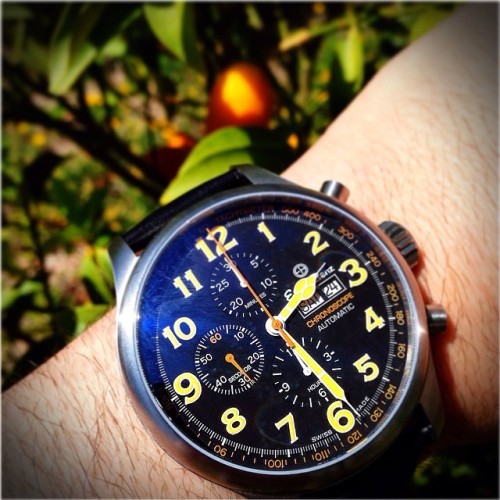 womw:  Gorgeous Day for Gardening!! Waiting on this to give me some fresh juice for summer martinis!! 😊☀️🍸 👍 by ricosuavebolla from Instagram http://ift.tt/TIaDZL