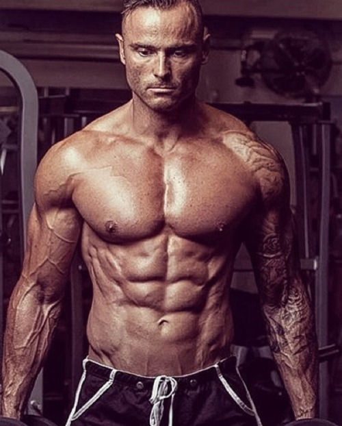 Adonis Files