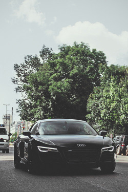 auerr:  Audi R8 V10 Plus 