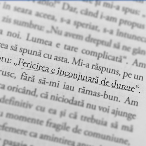 http://the-dianastratila-blog.tumblr.com/post/125283077503
