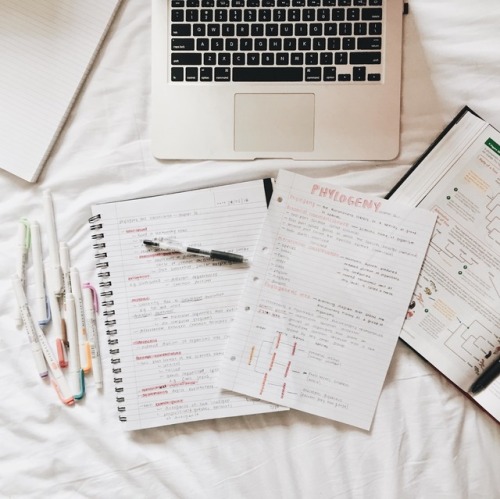 ittybittystudyblr:“Life takes us to unexpected places sometimes. The future is never set in st