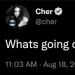 anarchoarchie:anarchoarchie:actually i think cher should come to tumblr SORRY she’s got the girlblogger spirit.