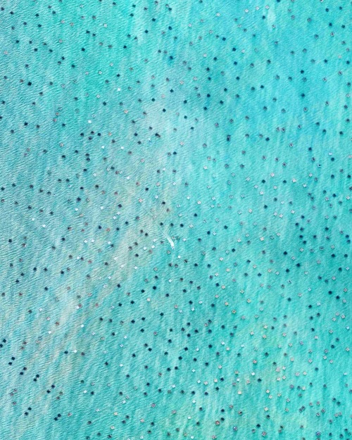 dailyoverview: Hundreds of “oyster condos” are visible in Budai Harbor, Taiwan. Farming 