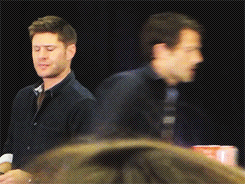 supernaturalwanderlust:   x  #jensen can you even try not to flirt with misha at