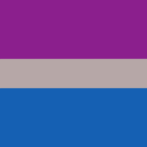 aroaesflags: Butch combo flagsGay | Lesbian | LesbianBi | NB | TransAro | Pan | Ace