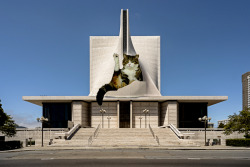 st kitten of the ascension.