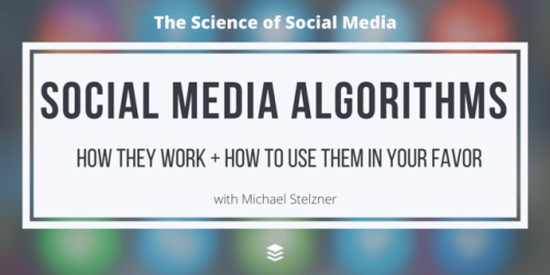 Social Media Algorithms: How They Work And How To Use Them In Your Favor – Michael Stelzner [SSM032]