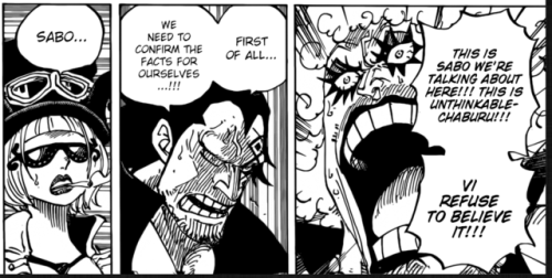 One Piece Manga 956 Tumblr