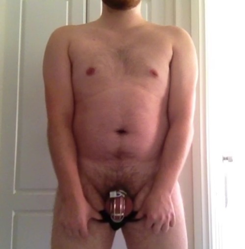 bearhunter3093:My locked cock