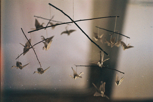 impuni:893345_473949806007408_930243703_o by maja malinovska on Flickr.
