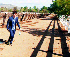 dailypawnee:  Watch out for that fence. 