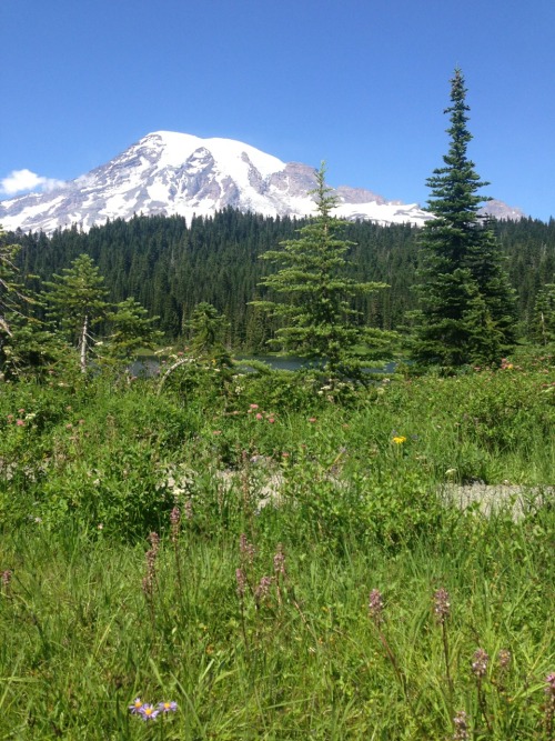 sadtulip:I miss the mountain so much ugh I can’t wait to move to seattle