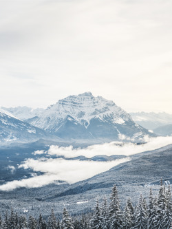 nicholasdyee:   Winter Valley on Flickr.Mount
