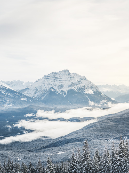 nicholasdyee:   Winter Valley on Flickr.Mount Kerkeslin and fog over the Icefields Parkway. Facebook | Flickr | Instagram | Twitter | 500px 