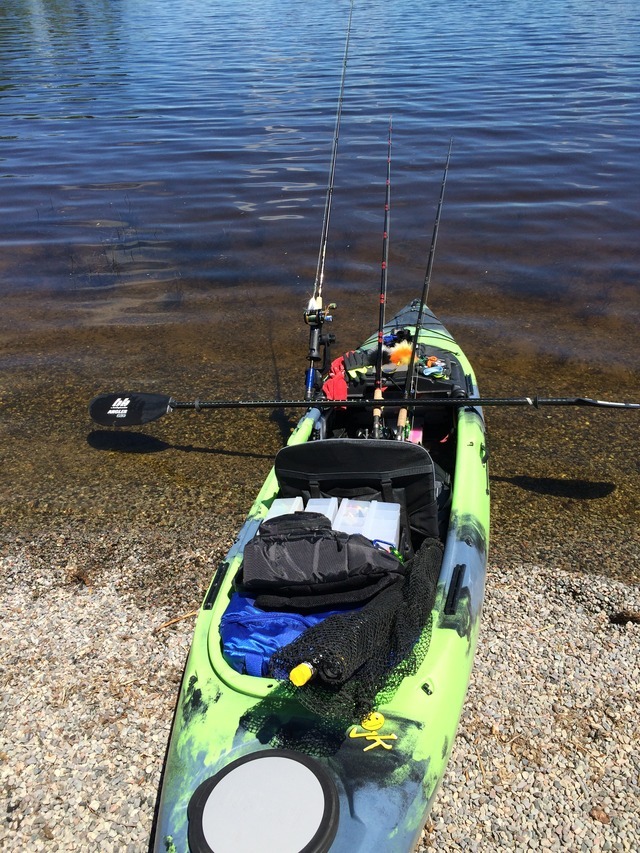 Hi AMFisHers! This blog post is the full story of my recent two day 2017 musky opener fishing trip.The trip started Saturday June 3rd as that is when musky season officially opened in the area I decided to fish. This is a lake I have fished for many years now and have caught some muskies here in the past. I know the lake very well and know a lot of great musky spots, but my biggest challenge this season was musky fishing out of a kayak.Musky fishing is already a challenge in itself, strong heavy gear is needed along with big heavy baits, so fishing for musky from a boat is already draining enough and I was very prepared for how draining it would be from a kayak, but determination could not hold me back!I arrived at the lake around noon as my plan for the first day of fishing was to stay out on the lake well into the late evening as I wanted to experience and get more familiar with fishing for muskies at night. I got all my gear ready and the weather was in full cooperation as it was a warm day with lot’s of sunshine, only immediate problem I realized was the water temperature was still quite cold. The weather in this area had not been hot enough over several days so with the cooler temps I immediately knew I would have to revisit my strategies that were in place in order to try and catch some muskies.As I headed out to my first spot that was a big weedy bay not far from shore that leads into some deeper water, I was going to stick with my strategy for a short while to see if I needed to rethink things as I kind of knew I would. My presentation was to use 6 to 7 inch bucktails in bright colors due to the very sunny day. I started casting right up over the weedy area, as the weeds were submerged and the presentation was to burn these bucktails back quickly to trigger any active fish strikes. About 20 casts in with no action I decided to slow the speed of my retrieve down slightly as I mentioned the water was still quite cool for early June so it made sense to slow my bait retrieve down. After another 20 casts in this same bay with 4 different bucktails there was still no musky action or even any sign of any fish being interested.I switched from bucktails to some mid size minnow style crankbaits, then some mid size soft plastic musky baits and lastly some top water pro style baits. The result on my first spot was the same with all the baits I used, no fish in sight no fish interested in what I had to offer. The weather was not ideal as muskies prefer warmer water in the early months during and after their spawn is complete, but a sunny hot day and water that was still cold made me quickly revisit my approach and instantly start considering much slower bait presentations, so I was actually approaching it like I was fishing in late fall.I hit my second spot which is a decent size rock shoal a few hundreds yards straight out from the main dock area. This spot is ideal for muskies, large somewhat shallow rocky sandy flats with many scattered weedy patches that are surrounded by deep water escapes and even thick weed cover deeper water as well, the best of everything. I started off with my original approach for several casts and actually got a solid hit as soon as my bucktail with the water. It felt like a good hit from a decent size fish but I knew it was not a musky and was pretty confident it was a nice big smallmouth bass that was hanging around the rock shoal. Low and behold the battle was on, this very chunky smallmouth was jumping everywhere trying to get off the hooks!Needless to say during both these smallmouth bass fights the fish got the best of me this day, as they jumped and bounced off the kayak as I was was pulling them into the cradle I had secured on the side of my kayak. After wrapping up at this spot I paddled over to my third spot which was the largest one I had easy access to and holds muskies. Again it a large flat with various weed edges in that 5 to 10ft depth range and has access to deeper water and shallower water. I started off with top water, then went to my shallower running crankbait, then back to bucktails and finally a medium size soft plastic musky bait. At this spot I must have made over 12,977 casts and figure eights, talk about grueling work! Unfortunately again there were no musky sittings in the area, nor any kind of fish activity at all, so the pattern of this many casts with several baits and not fish brought me back to the fact that the fish had really turned off being active and it was going to take even more than a slower fall presentation to hook into any.Day one ended with me continuing to fish right up until around 10pm, but I fished the two first spots again and again as they were much closer to shore so safety had to be first. Once day one ended I went back to the main dock, loaded all my gear and kayak and decided to try some casting from shore to see if any big ones were cruising the shallows at night. Worked the same group of bait presentations I had been working all day, not one bite not one breach not one fish anywhere to be found. After a few more chats with fellow musky anglers they too mentioned a few smaller musky run in’s but no landed fish, so I decided to call it a day as the bugs by this time were out in full force.I crashed for the night as a typical angler would do, in my JEEP and enjoyed a very not so good sleep, when I actually thought it would not be too bad to sleep in but those JEEP seats are not comfy at all! Got up early Sunday morning grabbed some breakfast and a coffee from Tim’s and headed back to the dock which was only 7 minutes away. Note to anyone thinking of sleeping in there vehicle overnight during a fishing trip, make sure to make yourself as secure as possible, which is why I decided to crash at a Tim Horton’s because it was an all night open location with a lot of car and people traffic, cameras and lights, seemed like the safest place to crash. Also make sure to have a very bright luminous flashlight handy, as it can make for a great self defense item, by utilizing the intense brightness to blind the eyes of anyone either trying to get into your vehicle or trying to harm you.Once I got to the lake it was absolutely the most stunning view I had seen in many months! The lake was completely motionless and resembled a large piece of glass, not a wave or any water movement in sight. While getting things prepped and assessing if the rain they called for was going to actually happen, I knew that water this still would not make for good musky fishing. While enjoying my coffee and breakfast there was zero and I mean zero water activity by anything. No bugs moving on the surface not birds feeding and no fish breaches, all things you do not want to see not taking place.A few other anglers that were there for their second day of fishing walked over and we engaged in a lengthy conversation about if we any of us were actually going to fish that day. Since I had mad the 2 plus hour drive up to this lake from Toronto and was in no rush to get home, I spoke with a few guys a long while longer to see if any changes would start happening to the lake. After some time had passed a slight wind picked up and the water started to move, this was a good sign but it needed to last in order for the fishing to start picking up. The wind stayed steady and the few of us were about to get out on the water in the next few minutes, when it clouded over even more and the rain moved in.I jumped into my truck to observe what was going to happen next, as rain usually stirs up the lake and fish start to feed. Low and behold nothing was happening, the wind got stronger the rain less intense and there was once again zero fish activity, no surface breaches which is usually the norm once it starts to rain. I decided to wait a while longer as it was still quite early and cool that morning. A couple of boats headed out anyway and I used this time to rethink about what my strategy was going to be if I got out on the water.After a short while it was still raining but quite lightly, so I decided to shore fish again with some top water musky baits, to see if anything was going on. When I say zero attention to my baits I mean a big fat “0”, nothing was anywhere, no roaming fish not feeding fish. From here I tried a few more musky baits with no success and decided to downsize dramatically to see if any other species might be feeding. Started using smaller size inline spinners and again no fish action of any kind. After an hour or so of experimenting I could see the two boats heading back towards the dock, with their heads shaking side to side as they had not had any luck. The second boat was heading to the other side of the lake and also gave me the we saw no fish look as well, this was when I knew battling the lake in that wind with my kayak with a hope that fish would start to feed was completely off the table at this point.I continued to walk around the immediate shoreline casting various size baits with no success at all and the decision to pack it all in and head home seemed fitting right about then. All in all it was a very tiring musky opener with a lot learned on my end even though I did not catch any fish, I was going home with a new appreciation for musky fishing as well as very sore muscles.The fish of 10,000 casts definitely beat all the anglers that weekend and that is how things go sometimes, we do everything we can and still come up empty handed when it comes to catching fish, but the learning’s are the most valuable takeaway for any angler who stuck it through as long as they could.Hope you enjoyed this musky story…tight lines!The AMFisH guy…Join me on Facebook: www.facebook.com/amfish14#muskyfishing #fishing #AMFisH #fishing#fishing pictures#outdoors#lakes#musky fishing#fishing tips#AMFisH #TACKLE Amateur Fishing #fishing blogs#catching fish #learn to fish