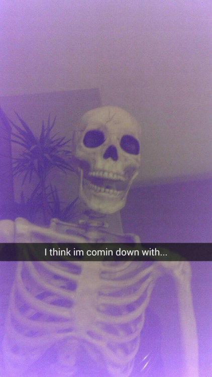 setthestageonfire: So my family got a skeleton for halloween