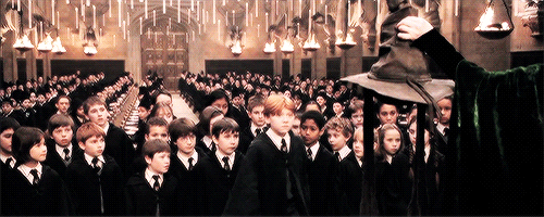 gifharrypotter: Ha! Another Weasley! I know just what to do with you…Gryffindor!