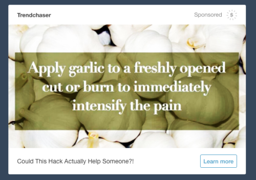 smalltalktorture:tumblr i am literally begging you to let me reblog your shitpost ads