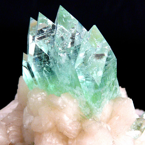 Cheap Bliss Sideblog: Prismdrip