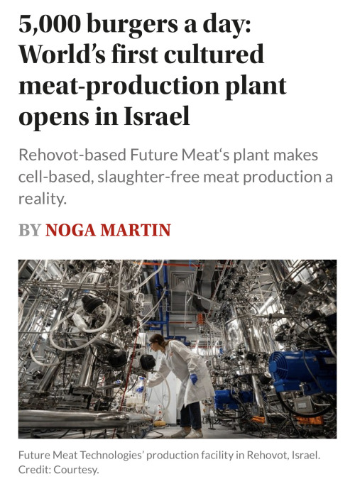 Spiraling Bc The World Seems Bad....here Are Some Uplifting Headlines