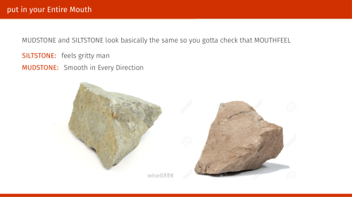 winterhazelly:okay tumblr I think it’s time I tell you all about rocks chonch, I have given this tal