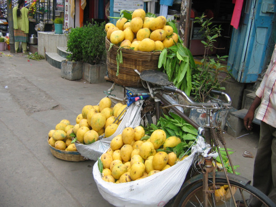 napalli 