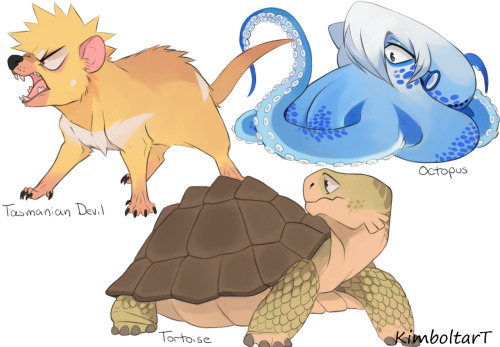 More Bnha Animals.( IIda; Horse/ Uraraka; Hamster/ Midoriya; Rabbit/ Shoto; Cat/ Tusyu; Frog/ Kirishima;
