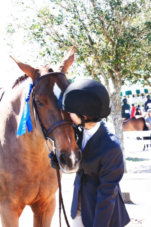 equestrianhunterjumper:kissies for such a good girl