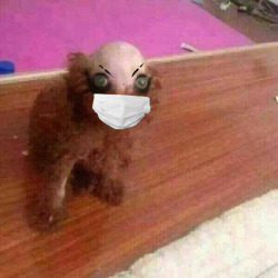 real-uwu-hours:hogslop:stantler: