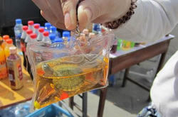 officialsunnyd:  commanderabutt:  im-undone:  SPREAD THE WORD: Live fish and small turtles sealed in plastic key chains have become popular items sold at subway entrances and train station across China. Chinese online newspaper Global Times reports that