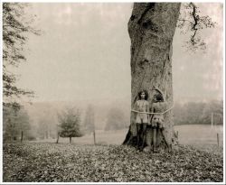 paganlovefest:  Marc Lagrange - The Big Tree