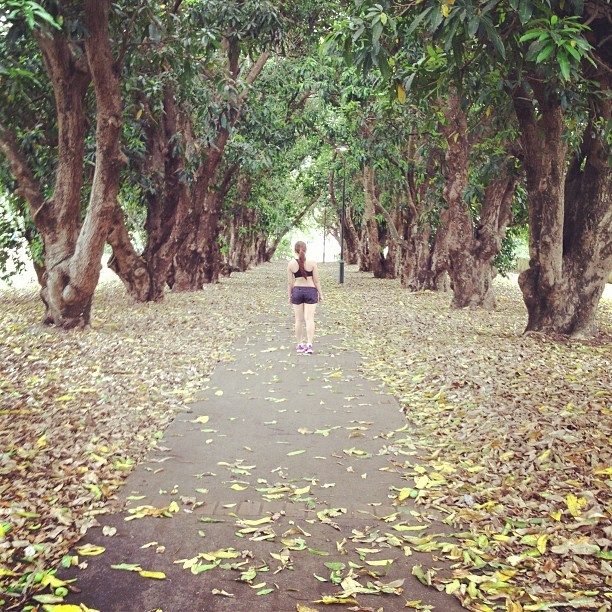 Morning #jogs!! #mangotree #scenery #thatbody #park #qld #iwishihadamangotree