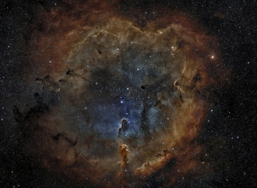 IC 1396: Emission Nebula in Cepheus : Stunning emission nebula IC 1396 mixes glowing cosmic gas and 