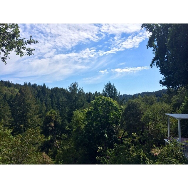 The view from my cousin’s house 🌲☀️⛺️#nofilter #thatviewtho #cousincamping #family #backyardcamping #theNolanRedwoods
