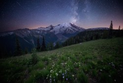 morethanphotography:  Rainier Dreamscape