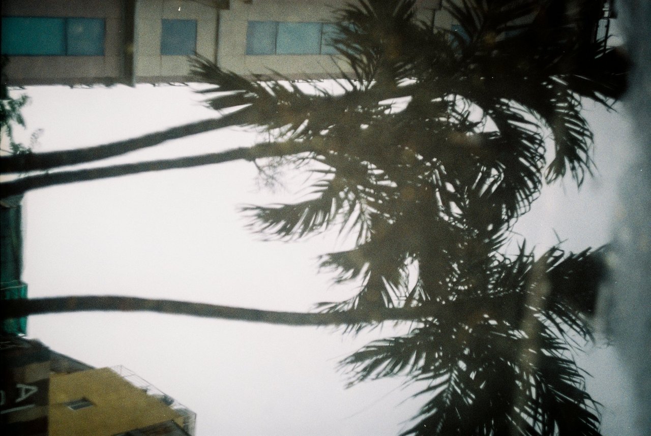 Terry Magson Analogue Photographer
