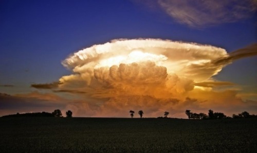 ethicfail:  Nature: No Photoshop required. 1. Lenticular Clouds2. Anvil Clouds3. Cirrus Kelvin-Helmholtz Clouds4. Fallstreak Hole5. Mammatus Clouds6. Polar Stratospheric Cloud7. Roll Cloud8. Undulatus Asperatus9. Mammatus Clouds10. Undulatus Asperatus