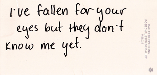 TheLoveNotebook